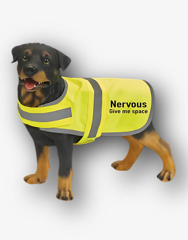 Nervous Hi Vis Dog Coat - Pooch - 