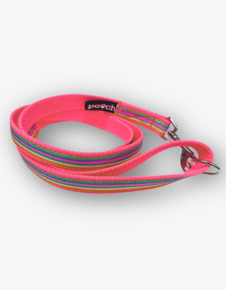 Vibrant rainbow pink dog lead with durable fabric and stainless steel clip.