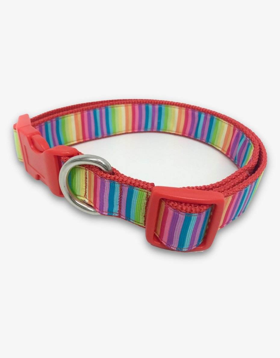 Rainbow Dog Collar with Free UK Delivery from Pooch where dog lovers shop!