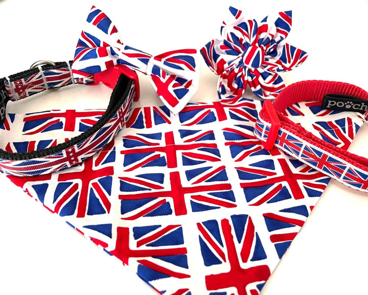 Union flag with Stars Dog Collar - Pooch-